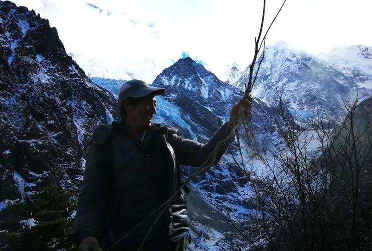 奴役的秘境最新消息:揭秘神秘事件背后的真相