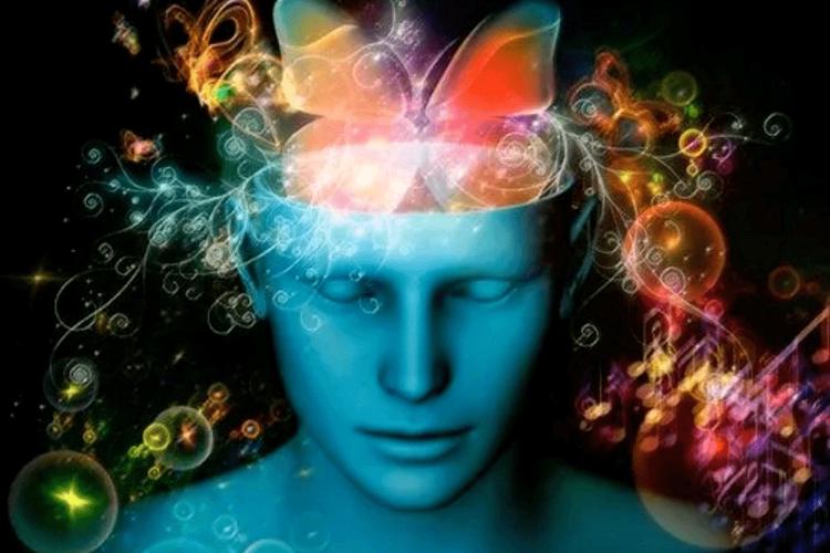 欲望之影最新更新地址分享,不容错过!