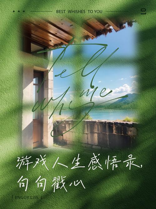 二次人生官网:开启你的全新游戏体验