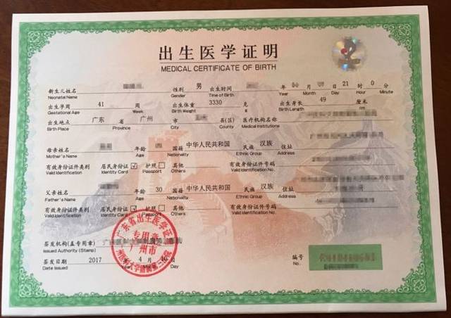 出生证明安卓汉化版下载：玩转欧美SLG游戏