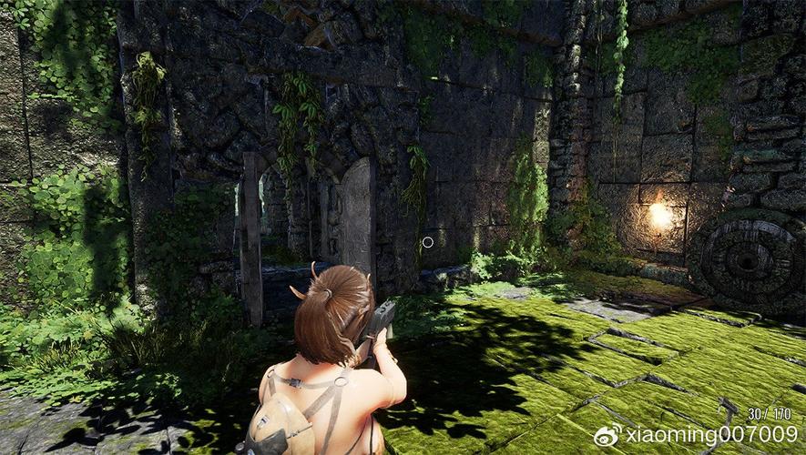 阳光下的野兽下载安卓版：高清画质的荒岛冒险