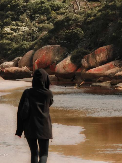 艳妻沉沦最新版本剧情讨论:妻子为何一步步走向深渊?