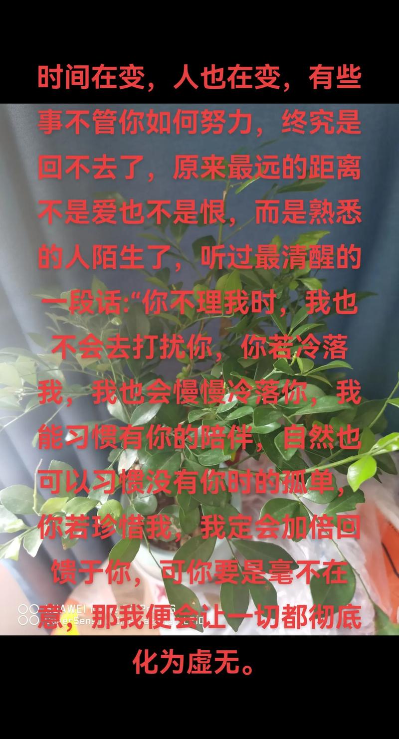 找不到朋友？孤独的陌生人下载神器推荐