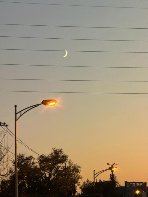 最新失落的月亮下载地址，告别下载难题！