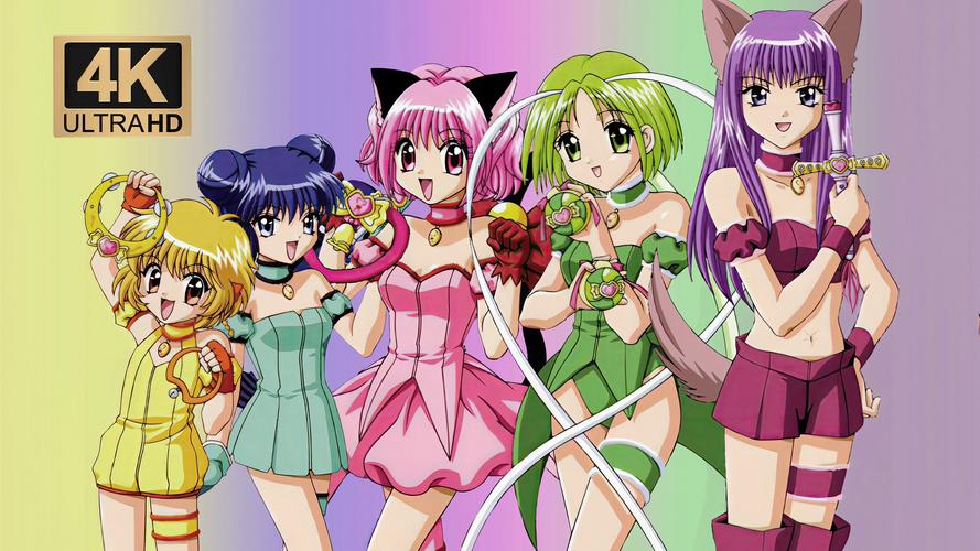 想玩猫研社？这里有你想要的全部版本！