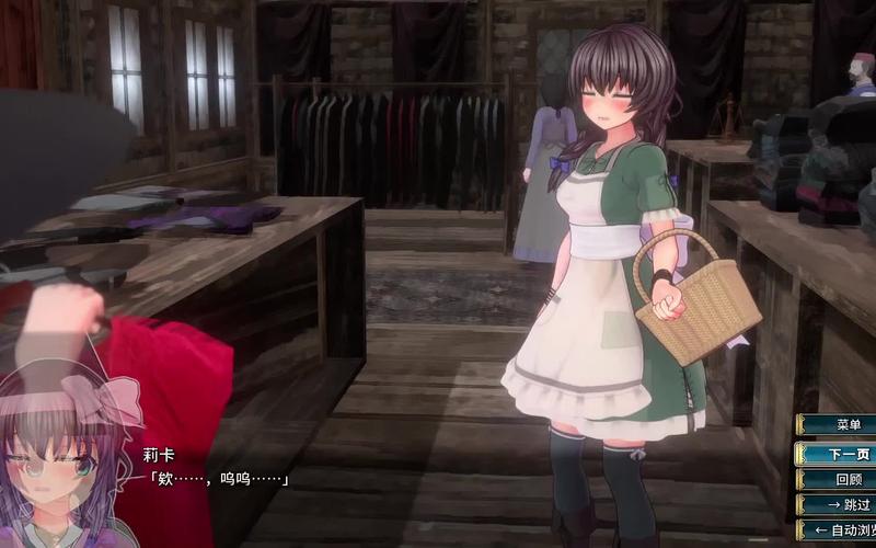 各版本圣骑士莉卡物语对比评测，助你选择最爱！