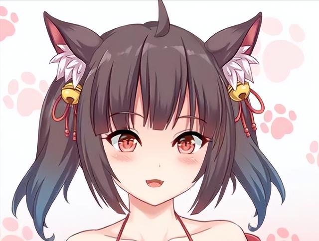 想玩捡到千年猫？全版本合集带你了解