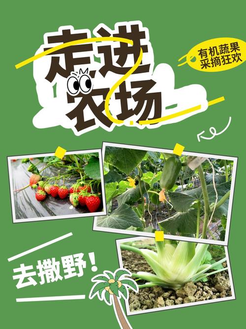 精灵的性爱农场最新玩法：体验不一样的农场生活