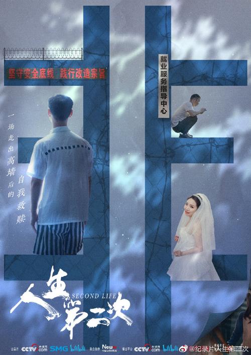 二次人生最新资源分享：高品质高清，带你重回2014