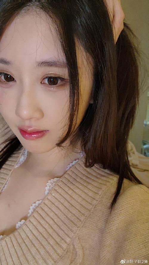 寻找轩子巨二兔官网？粉丝必备导航入口！