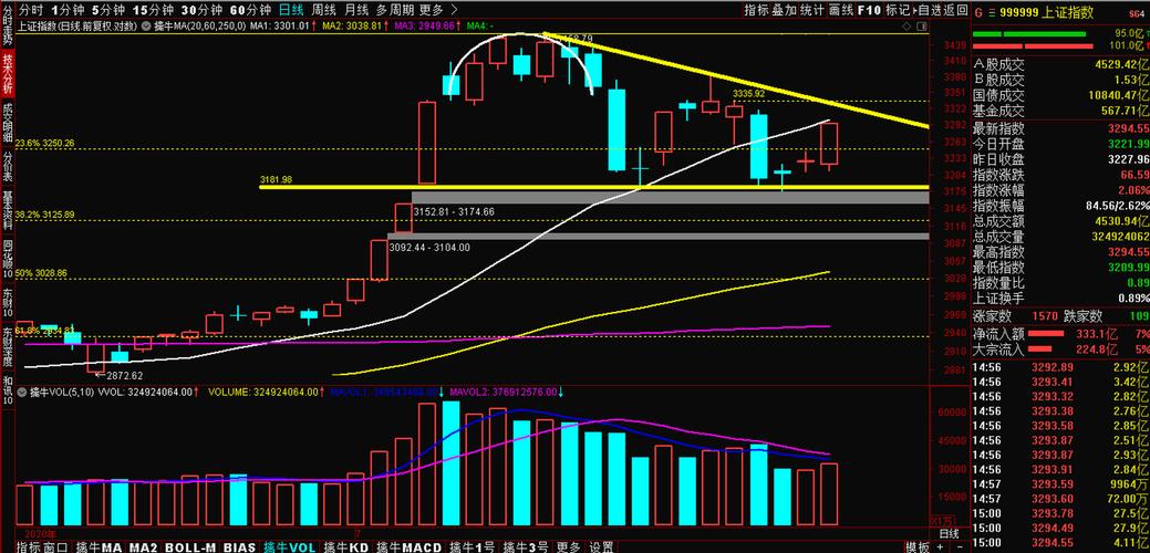 股市之狼下载不了？试试这些解决方法