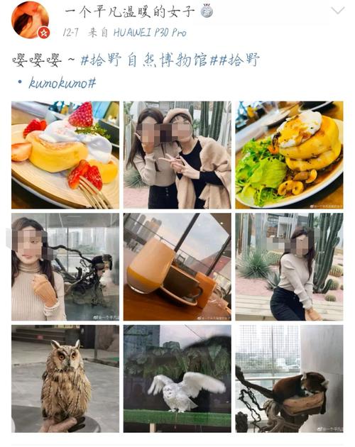 最新亲密接触版本是多少？功能更新及使用方法介绍