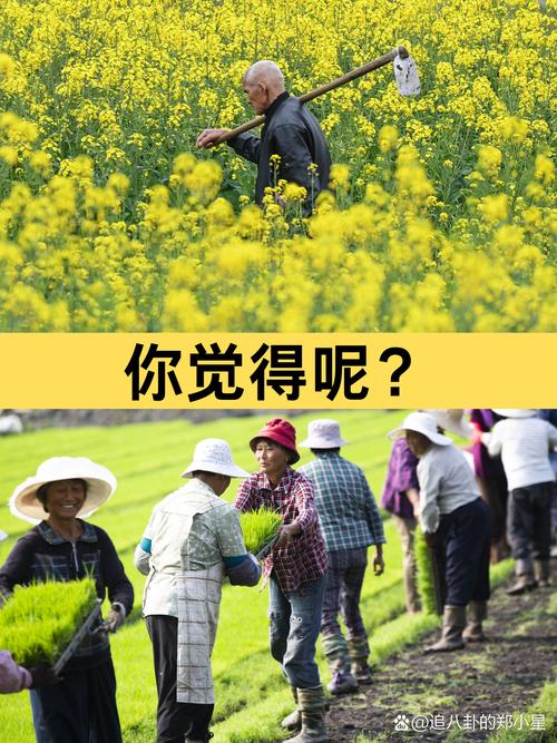 寻找你想要的农民的追求版本？大全来帮你！