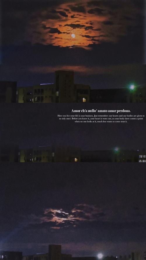 失落的月亮汉化版下载地址：超高质量汉化资源推荐