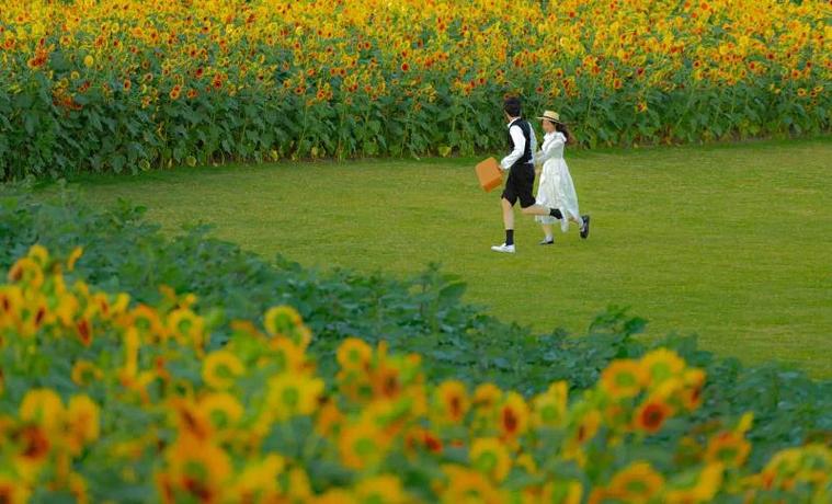 大人的童话剧场官方网站：不一样的童话，不一样的你