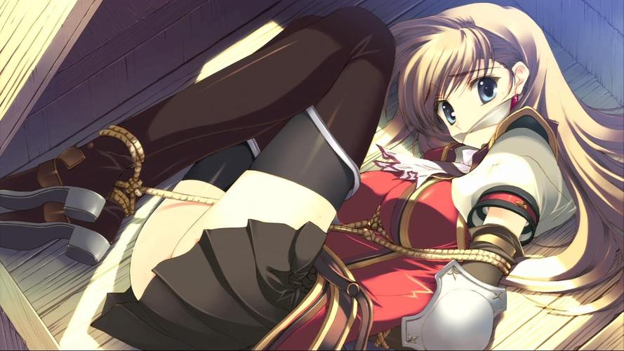 急速了解梅麻吕姐妹汉化版最新更新，所有内容都在这里！