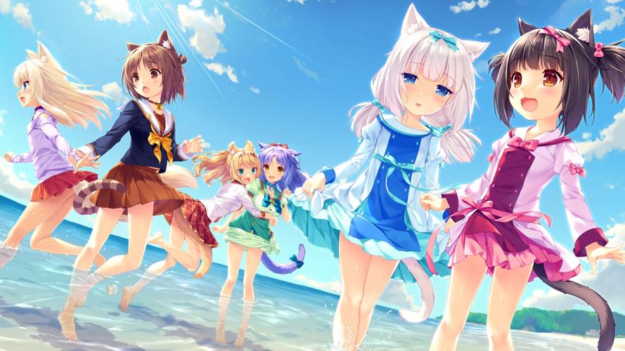 急需nekotto岛下载地址?这里提供多种下载方式