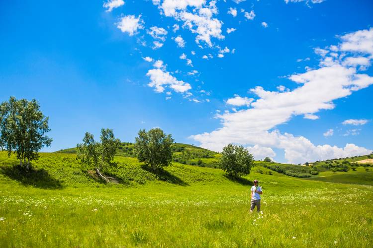 寻找青青草原官方网站：进入快乐羊村的唯一入口