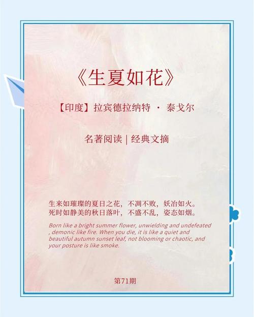 一夏之花最新评论：读者热议与精彩观点