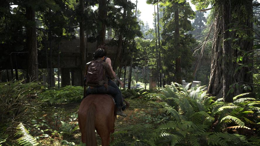 最后的生还者2在哪下载?Steam平台下载指南