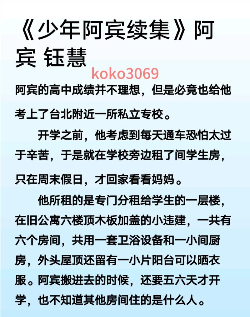 少年阿宾小说游戏官网：角色介绍及游戏测评