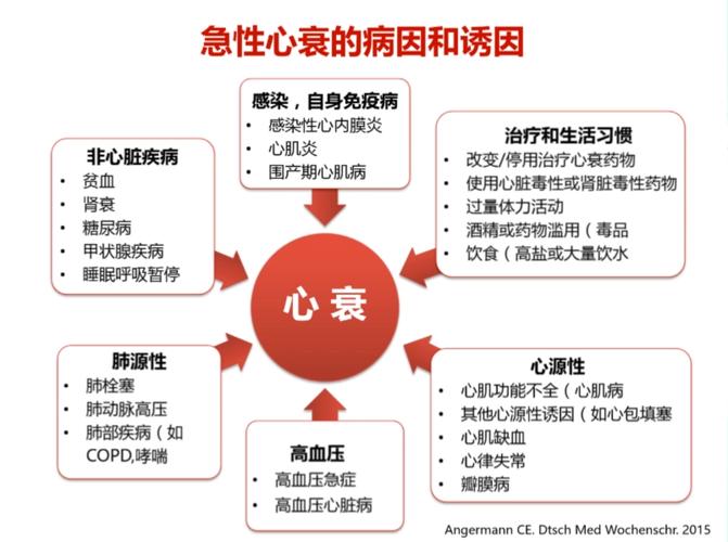 心脏问题大揭秘:从症状到诊断,一次性搞懂