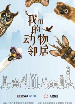 我的新邻居汉化版最新更新:版本内容大揭秘!