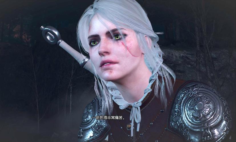 巫师3狂猎魔改版汉化版:最新内容大揭秘!