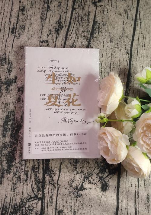 一夏之花最新评论：读者热议与精彩观点