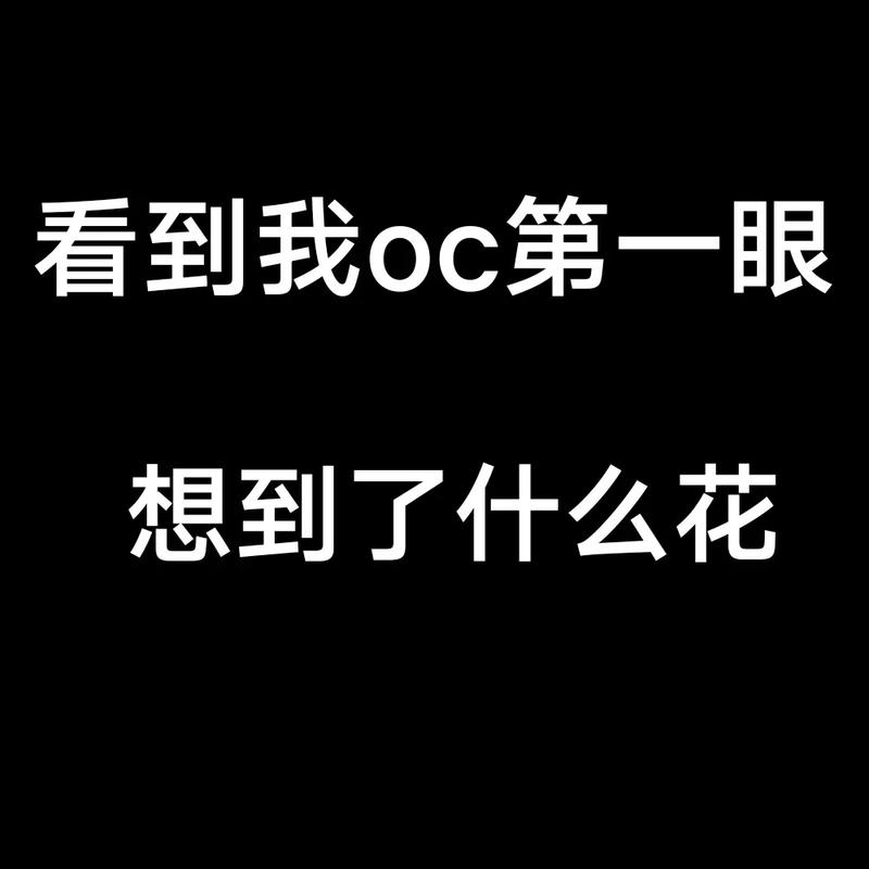一夏之花最新评论：读者热议与精彩观点