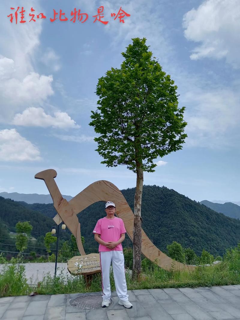 我的乡村生活汉化版最新更新:体验全新乡村生活!