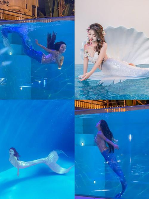 解锁木里人鱼最新版本，体验不一样的精彩瞬间