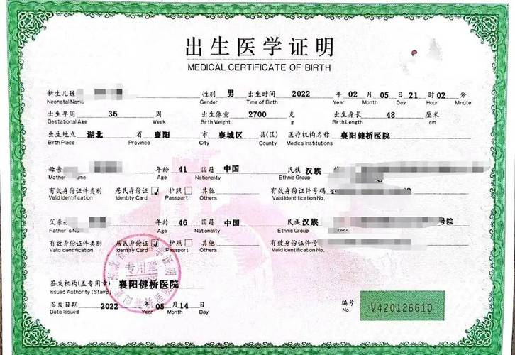 急需出生证明？官方正式版最新版下载方法在这里