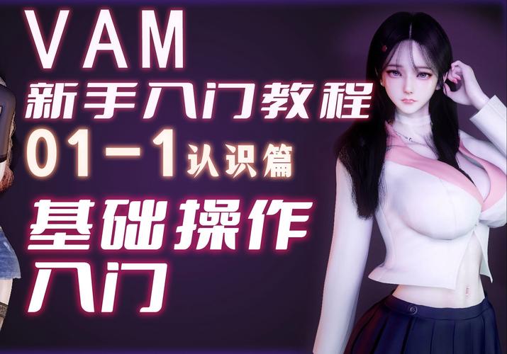 VAM纯净中文版下载指南：最新版本获取途径