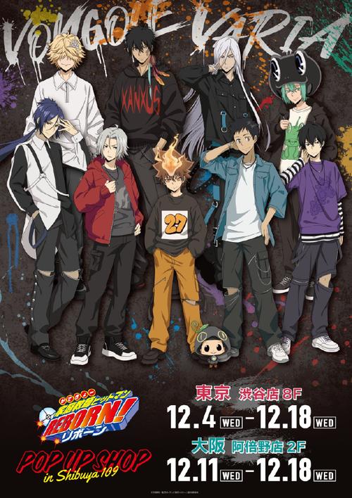 家贞教师官方网站入口:便捷访问,了解家教信息