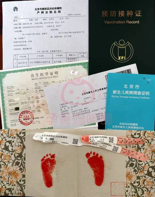 急需出生证明？官方正式版最新版下载方法在这里