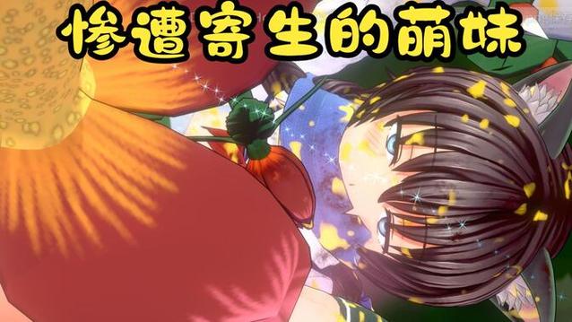 各版本圣骑士莉卡物语对比评测，助你选择最爱！