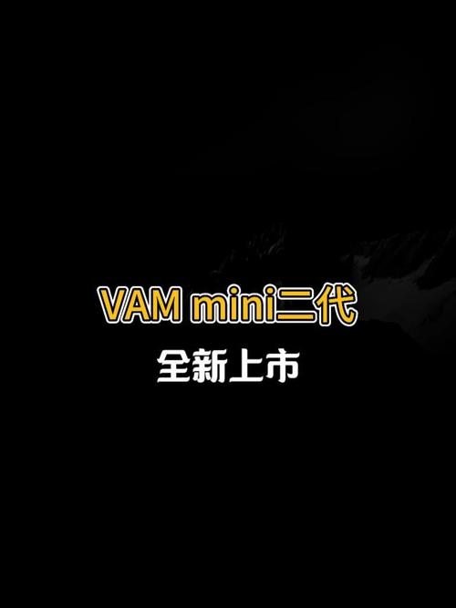 VAM纯净中文版下载指南：最新版本获取途径