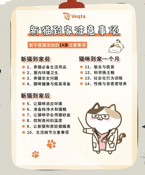 猫研社最新更新内容一览，更新地址快速获取