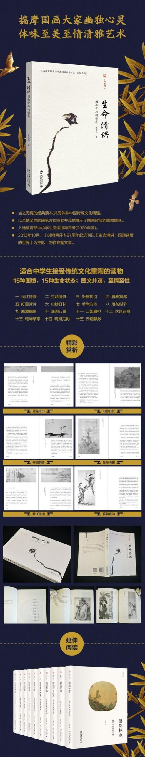 背后的世界最新更新：完整版免费在线阅读