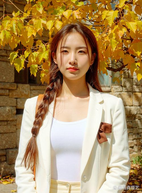 阳光下的真实官方网站:安卓版下载及游戏玩法介绍