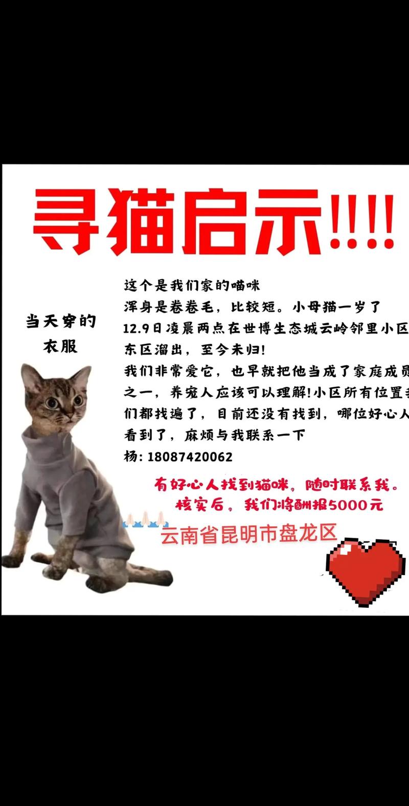 寻找疯猫版本大全?这里有你想要的!