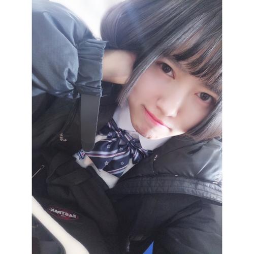 想玩我的姐姐阿丽亚?官网下载及新手入门指南