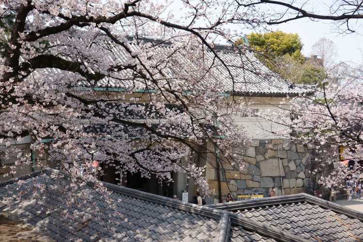 你还在找红樱花馆更新地址吗？这里有你想要的！