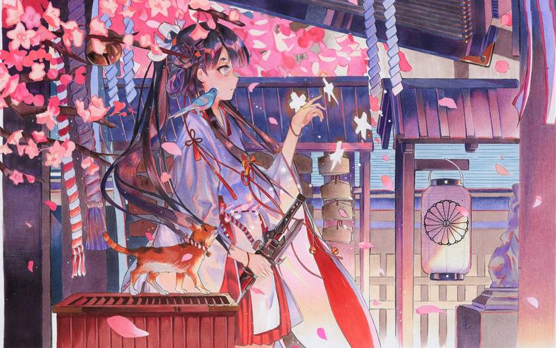 想了解菊玩少女最新情况?这里有你想要的一切