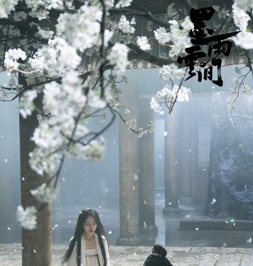 急寻欲望学院魔法学院第四季最新版本！资源获取途径详解