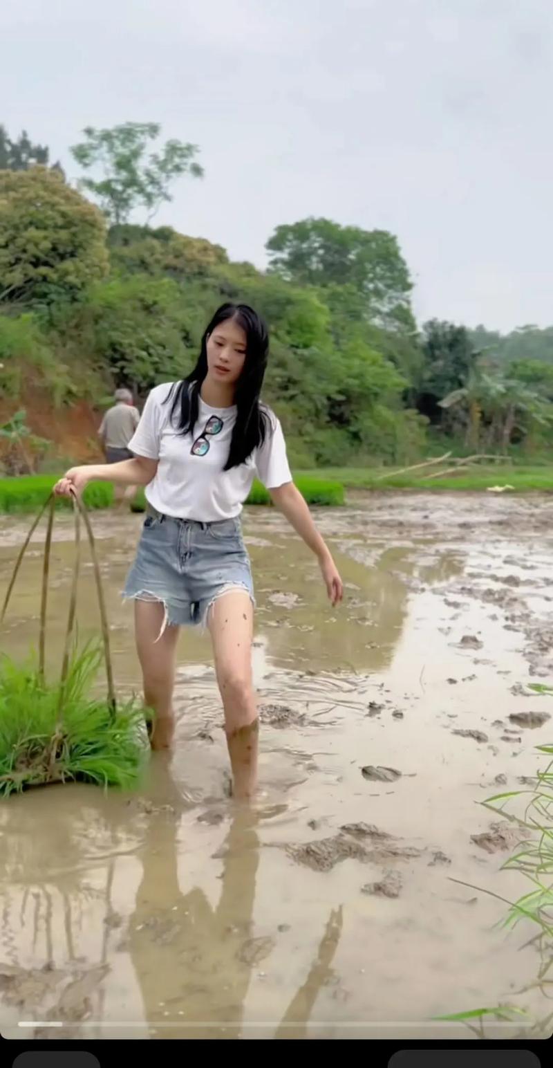 想玩乡下生活，哪个版本是最新最完整的？