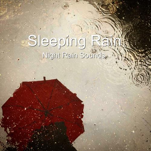 Rainnight雨官方网站:分享我的Rainnight雨音声使用体验