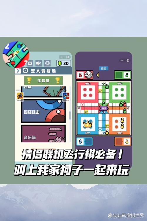 岳母安卓汉化游戏：轻松上手的详细攻略