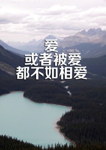 不需要爱下载地址大全：各种版本任你挑选